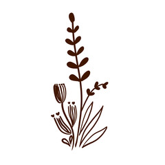 illustration of a plant