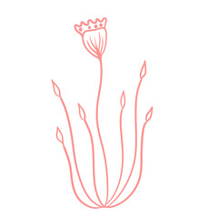 illustration of a red tulip
