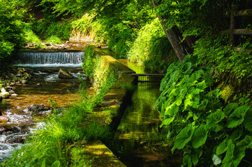 衣更着神社入口の川　木祖村
