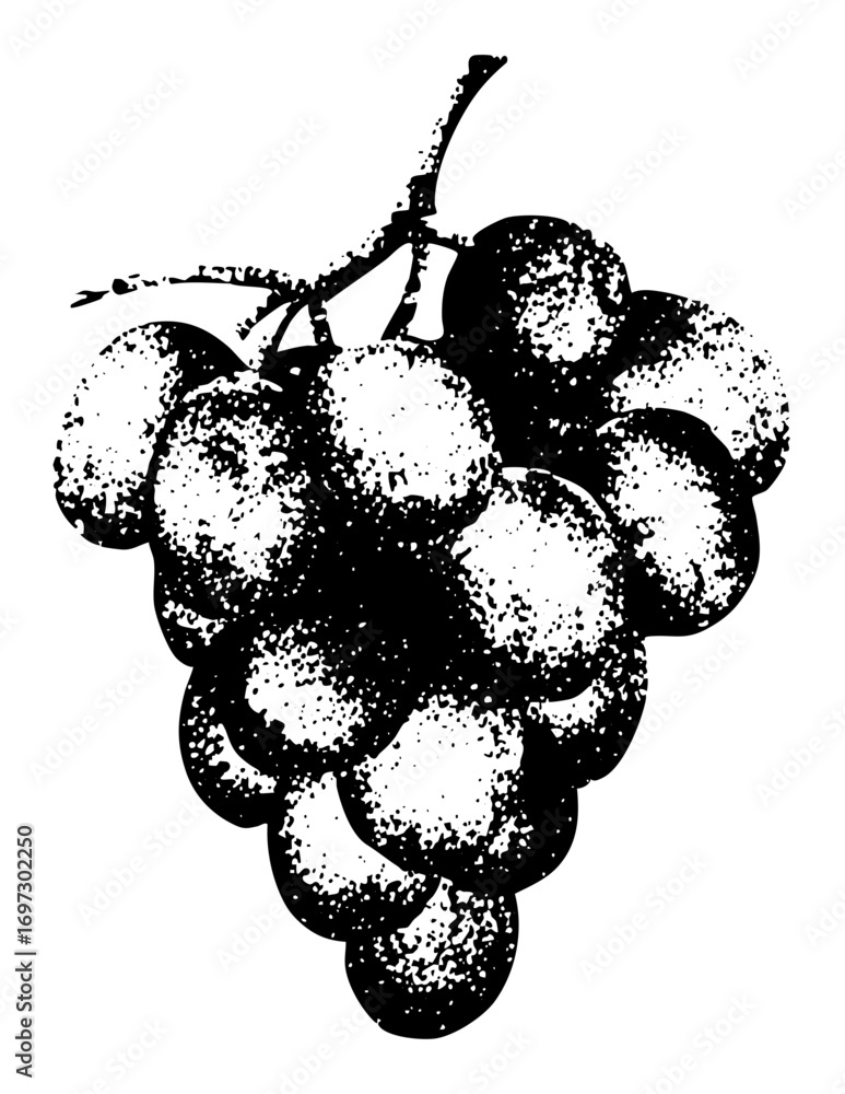Poster vector detailed of a grape bunch with textured spheres.