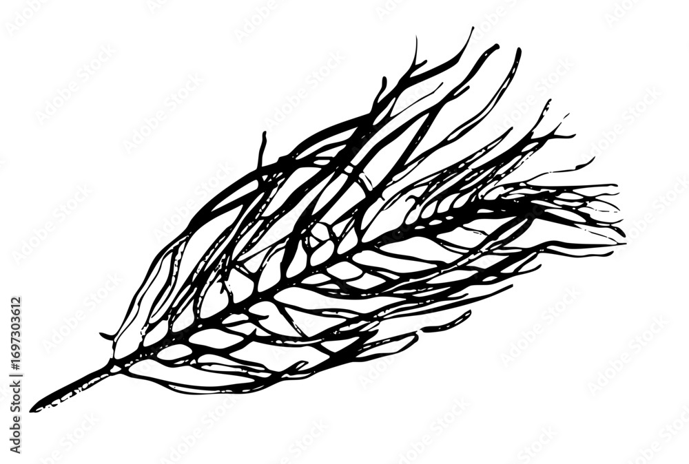Poster vector detailed twig showcases intricate branching .