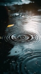 A close-up view of raindrops creating ripples in a calm body of water, reflecting light and surrounding elements.