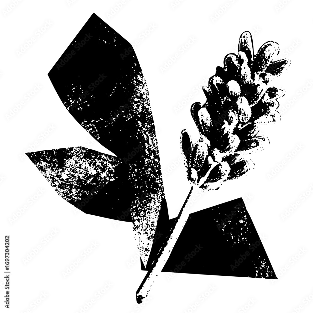 Poster vector botanical of a pine cone and needles in a style.