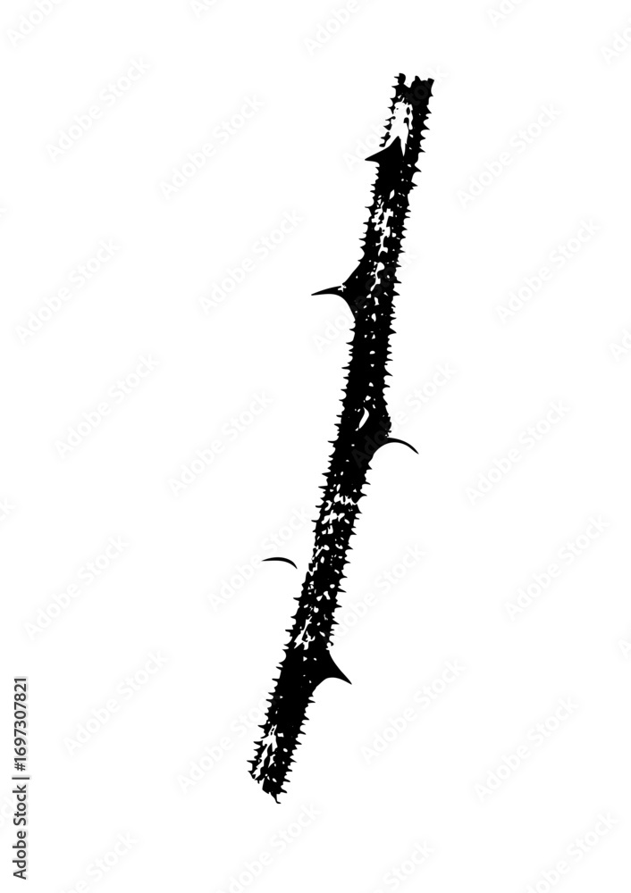 Poster vector black thorny branch with sharp spikes.