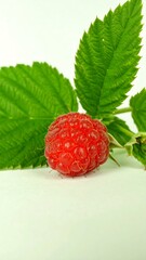 Close-up of a single raspberry with vibrant green leaves