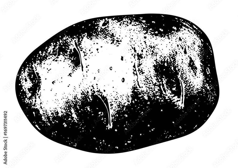 Poster vector abstract pebble stone with textured surface.
