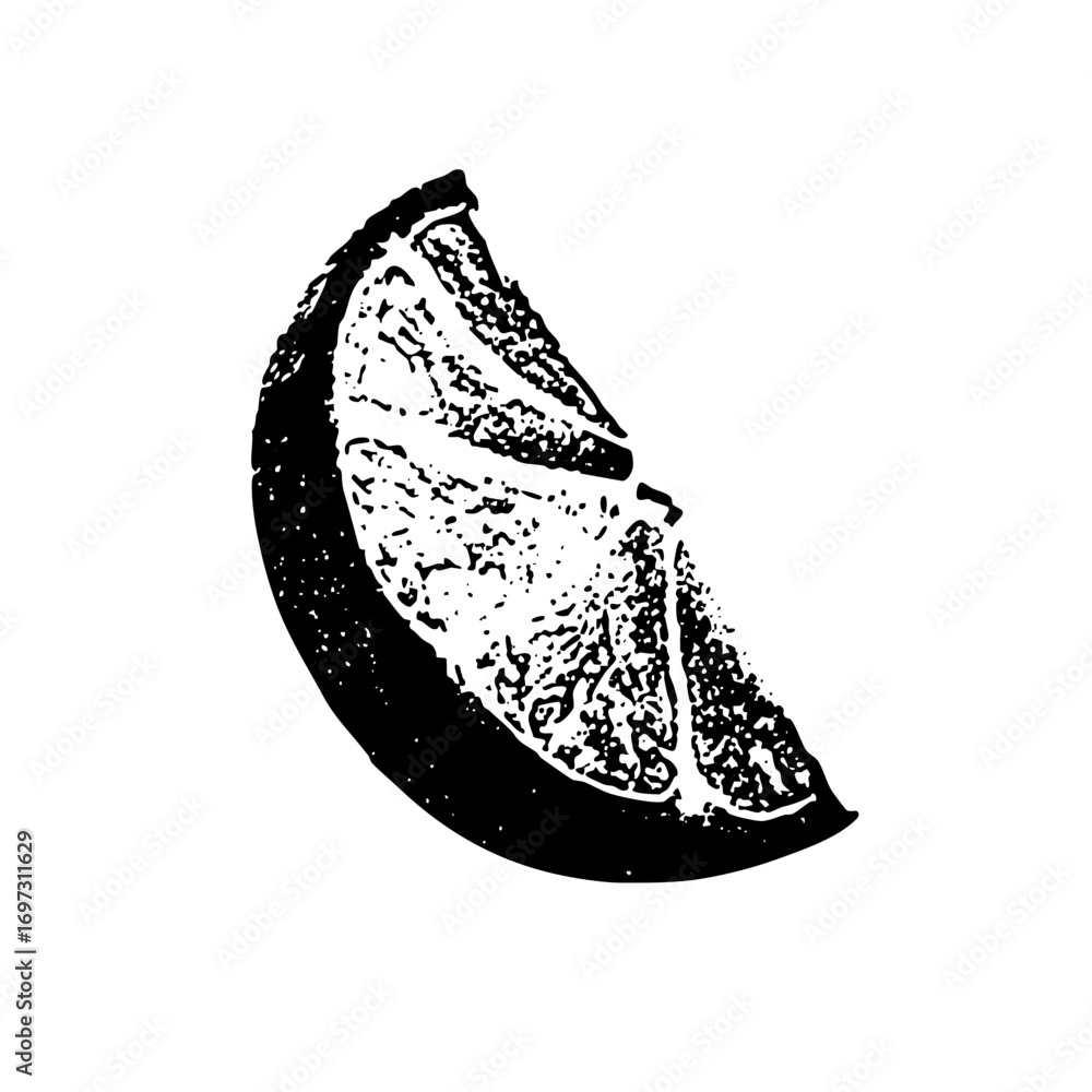 Poster vector detailed of a sliced citrus fruit segment.