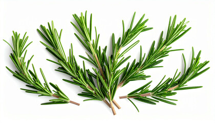 Fototapeta premium Fresh rosemary sprigs arranged on a white background, showcasing their vibrant green needles and aromatic nature.