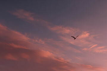 breathtaking summer sunrise illuminates sky with ultrabright colors creating perfect backdrop