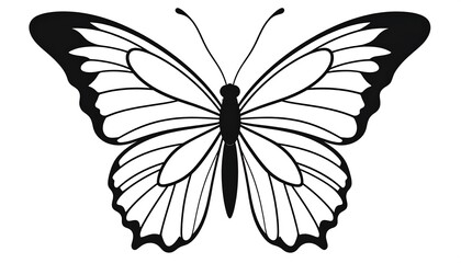 Fototapeta premium Black and white butterfly design