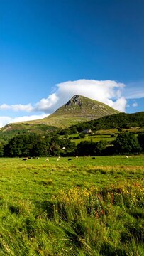 Mountain overlooking a grassy valley