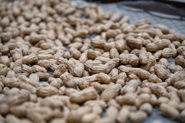 A Large Pile of Freshly Harvested Peanuts Spread Out on a Surface