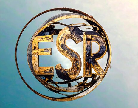 A circular, metal sign with the letters ESR, in a gold and dark color scheme, is set against a pale teal sky.