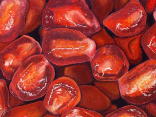 hand painting pomegranate background on holiday season vibes. high resolution illustration for design with a whimsical and enchanting healthy theme