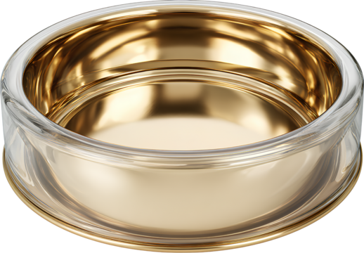  gold metal dog bowl, round bottom with raised edge,v.pn