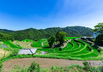 美しい田園風景