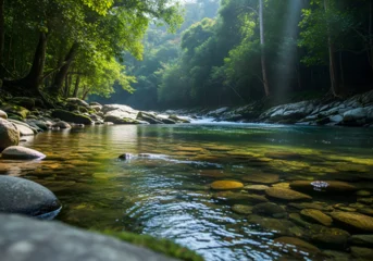 Papier peint photo Rivière en forêt "Tranquil forest river with clear water flowing over smooth stones, surrounded by lush green trees and sunlight beams creating a peaceful natural landscape background"  © Rano
