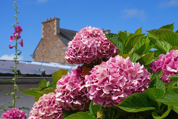 Fototapety na wymiar - Fototapeta24.pl