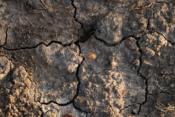 A top-down texture background of dry, arid, cracked earth due to drought. A concept of climate change and global warming.

