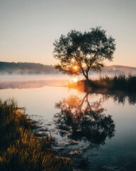 Obraz premium Tranquil Sunrise Reflection of Solitary Tree in Serene Lake Surrounded by Mist and Lush Greenery at Golden Hour