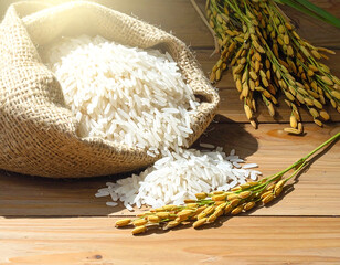 White rice grains spilling from burlap sack on wooden surface with rice plant stalks in warm sunlight