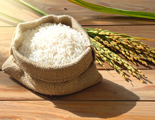 Rice grain in burlap sack with rice plant on wooden table in warm sunlight