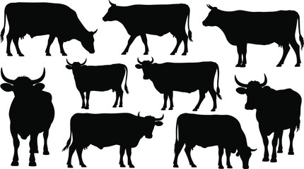 Cow Silhouettes – Various Cow Poses and Profiles, Farm Animal Vector Illustrations, Livestock, Dairy Farming, Rural Agriculture Icons