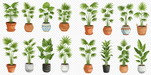 A watercolor illustration set of various tropical houseplants and palms in decorative flowerpots.