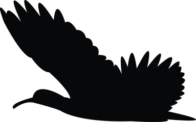 Flying Andean ibis bird Silhouette Design And Vector Illustration. 