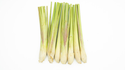 Lemon Grass. Herb plant