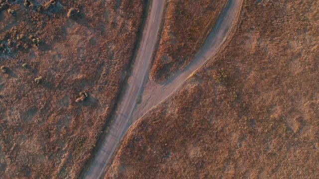 Aerial view of a road splitting into two paths in a dry, grassy landscape. The image captures the concept of choices and journeys in Carrizo Plain National Monument,  California, USA.