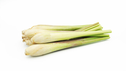 Lemon Grass. Herb plant