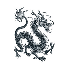 The chinese dragon – Black and White Icon Vector and Illustration