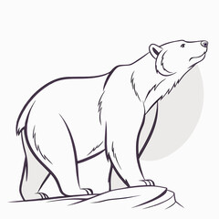 Modern Bear Design