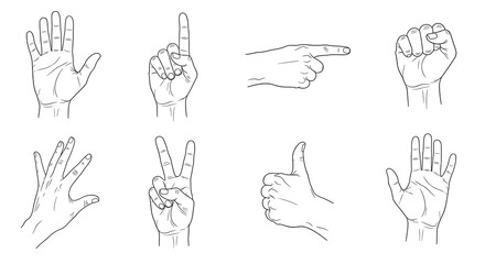Line art illustration of hand gestures: open palm, pointing, fist, peace sign