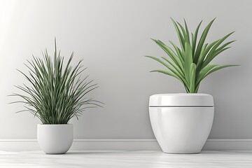 Two indoor potted plants against a plain white wall, creating a minimalist aesthetic