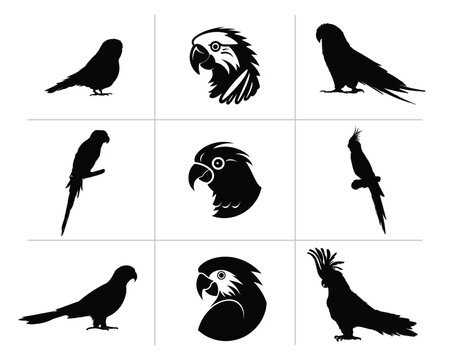 Parrot Tota head face set collection pack bundle black shape icon silhouette vector flat illustration design on white background