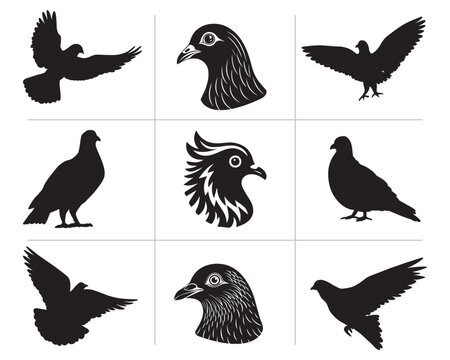 Pigeon kabootar head face set collection pack bundle black shape icon silhouette vector flat illustration design on white background