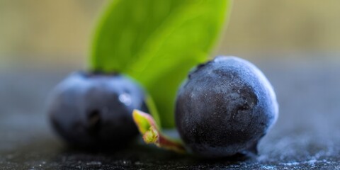 Two ripe blueberries are captured in a close-up with vibrant green leaves, showcasing their freshness.