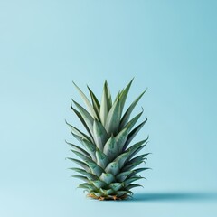 Fresh pineapple crown with green leaves on blue