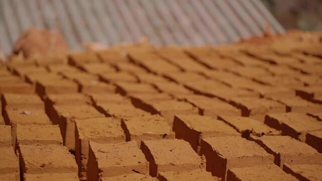 Adobe bricks drying under corrugated metal roof, showcasing traditional sustainable building methods in Chapada dos Veadeiros, Brazil, emphasizing local ecological construction approaches