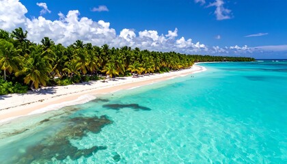 Fototapeta premium Tropical beach paradise (1)