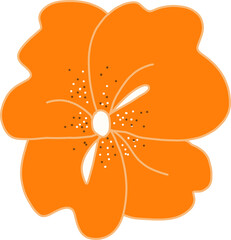 flower, blossom, bloom, nature, orange, spring, summer, delicate, garden, botanical, flora, bright, cheerful, natural, petal, soft, organic, decorative, design, illustration, vibrant, colorful, trendy