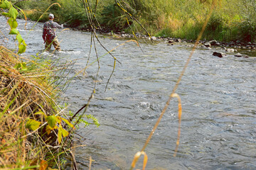 Fly fisherman wading in a river casting his line on a sunny day