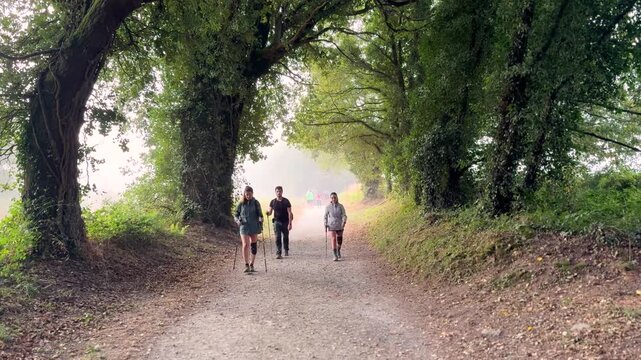 Group of people walking the Camino de Santiago in Spain, experiencing pilgrimage, culture, and spiritual journey through scenic rural landscapes