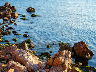 A vertical composition of a peaceful rocky shoreline with the calm blue sea glistening under the bright sunlight a beautiful and serene natural coastal landscape