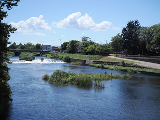 夏の千歳川の風景