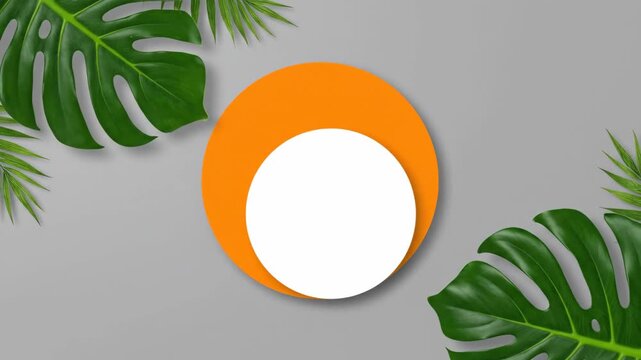Tropical Leaves Frame Orange and White Circles - A flat lay video featuring vibrant green tropical leaves arranged around a white circle on top of an orange circle against a gray background.