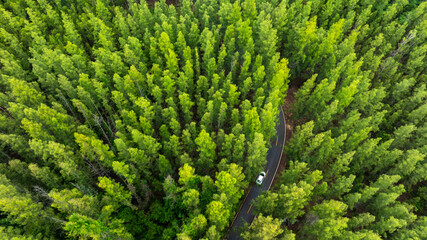 Aerial view of dark green forest road and white electric car Natural landscape and elevated roads Adventure travel and transportation and environmental protection concept	