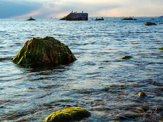 A moss covered rock stands alone in the calm blue sea under a soft sky a simple and serene...